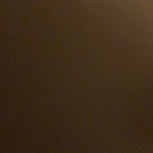 Meet your Posher, Lara